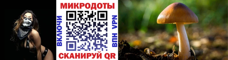 Псилоцибиновые грибы мухоморы  наркошоп  Курильск 